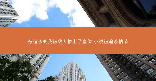 被追杀的我被敌人推上了皇位-小说被追杀情节
