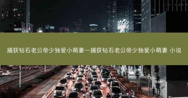 捕获钻石老公帝少独爱小萌妻—捕获钻石老公帝少独爱小萌妻 小说
