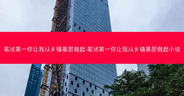 笔试第一你让我从乡镇基层做起-笔试第一你让我从乡镇基层做起小说