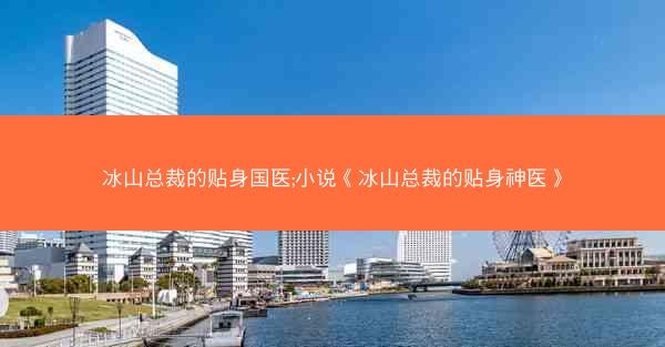 冰山总裁的贴身国医;小说《冰山总裁的贴身神医》
