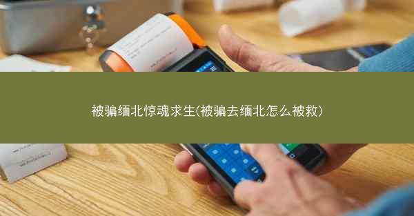 被骗缅北惊魂求生(被骗去缅北怎么被救)