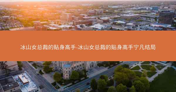 冰山女总裁的贴身高手-冰山女总裁的贴身高手宁凡结局