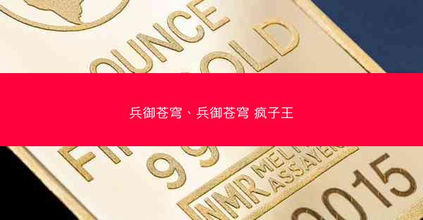 兵御苍穹、兵御苍穹 疯子王