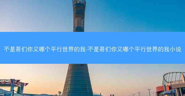 不是哥们你又哪个平行世界的我-不是哥们你又哪个平行世界的我小说