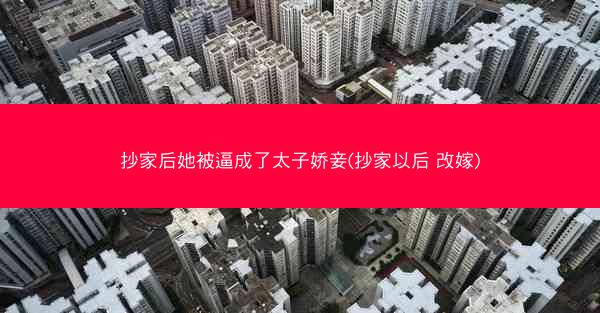 抄家后她被逼成了太子娇妾(抄家以后 改嫁)