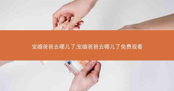 宠婚爸爸去哪儿了,宠婚爸爸去哪儿了免费观看