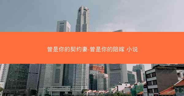 曾是你的契约妻-曾是你的陪嫁 小说