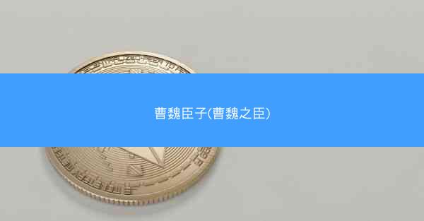 曹魏臣子(曹魏之臣)