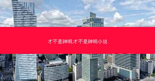 才不是神明,才不是神明小说