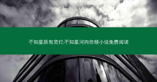 不知星辰有灵灯;不知星河向你倾小说免费阅读
