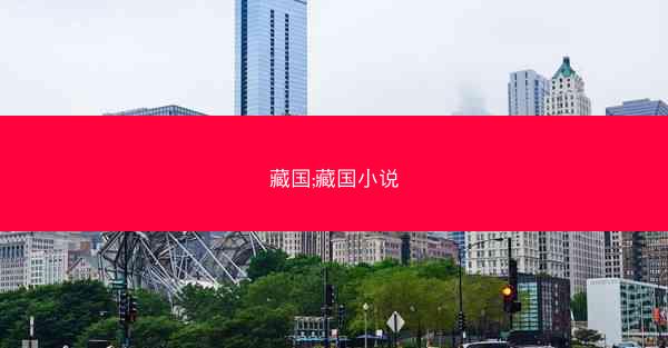 藏国;藏国小说