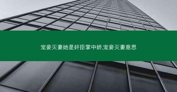 宠妾灭妻她是奸臣掌中娇,宠妾灭妻意思