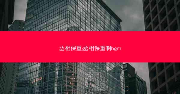 丞相保重;丞相保重啊bgm