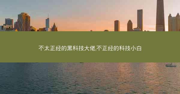不太正经的黑科技大佬,不正经的科技小白