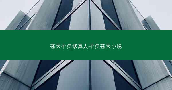 苍天不负修真人;不负苍天小说