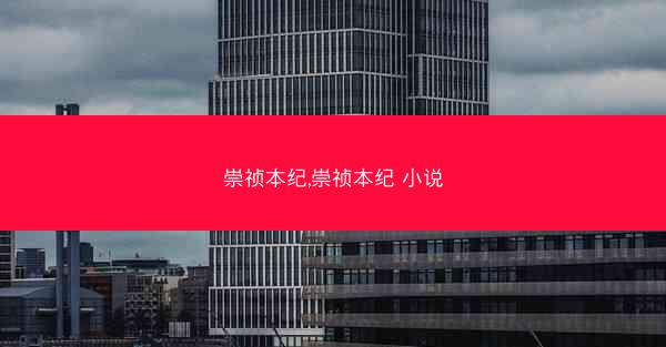 崇祯本纪,崇祯本纪 小说