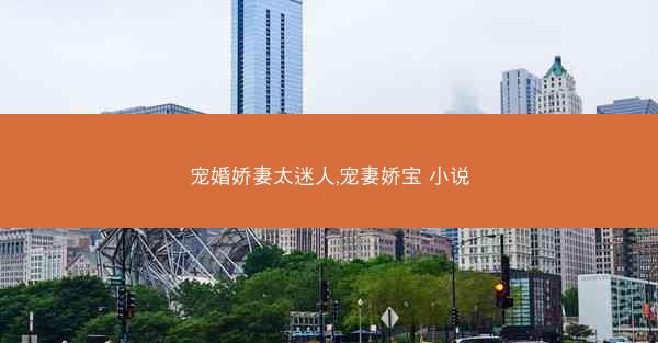宠婚娇妻太迷人,宠妻娇宝 小说