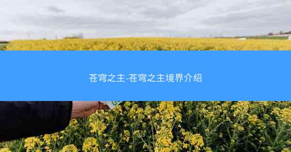 苍穹之主-苍穹之主境界介绍
