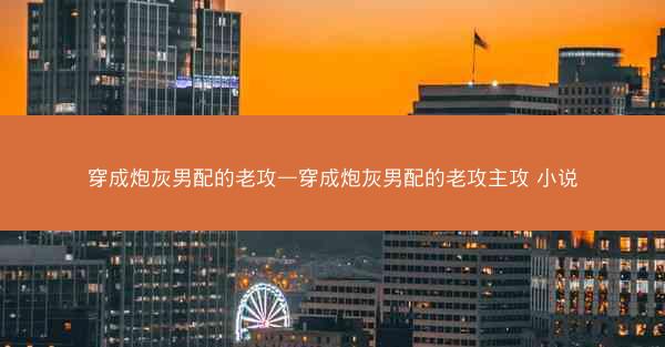 穿成炮灰男配的老攻—穿成炮灰男配的老攻主攻 小说