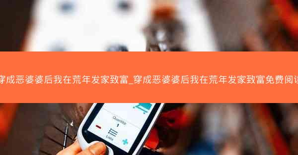 穿成恶婆婆后我在荒年发家致富_穿成恶婆婆后我在荒年发家致富免费阅读