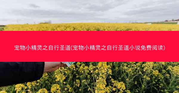 宠物小精灵之自行圣道(宠物小精灵之自行圣道小说免费阅读)
