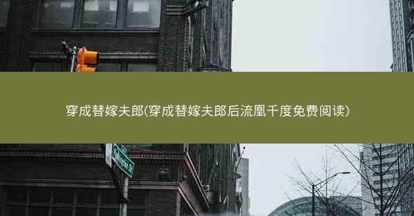 穿成替嫁夫郎(穿成替嫁夫郎后流凰千度免费阅读)