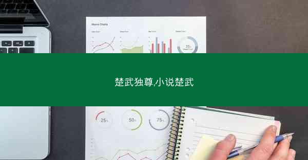 楚武独尊,小说楚武