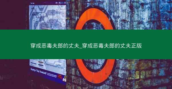 穿成恶毒夫郎的丈夫_穿成恶毒夫郎的丈夫正版