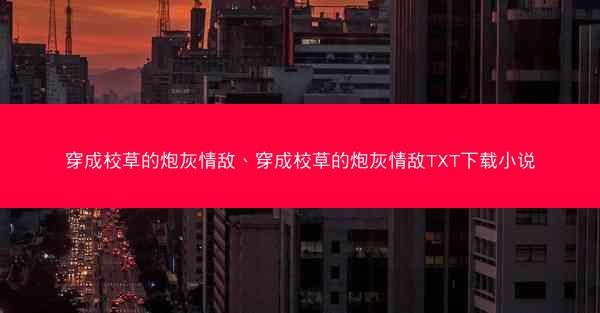 穿成校草的炮灰情敌、穿成校草的炮灰情敌TXT下载小说