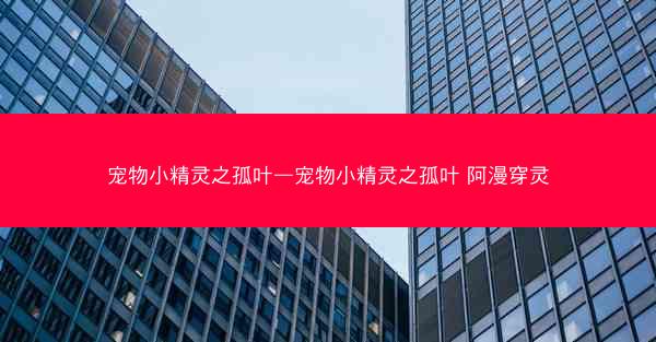 宠物小精灵之孤叶—宠物小精灵之孤叶 阿漫穿灵
