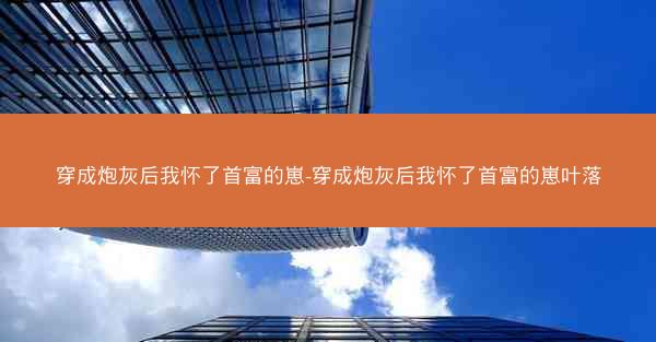 穿成炮灰后我怀了首富的崽-穿成炮灰后我怀了首富的崽叶落
