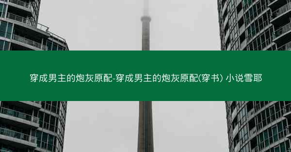 穿成男主的炮灰原配-穿成男主的炮灰原配(穿书) 小说雪耶