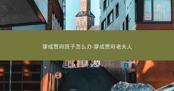 穿成贾府庶子怎么办-穿成贾府老夫人