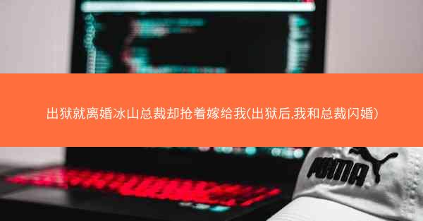 出狱就离婚冰山总裁却抢着嫁给我(出狱后,我和总裁闪婚)