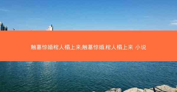 触墓惊婚棺人榻上来;触墓惊婚,棺人榻上来 小说