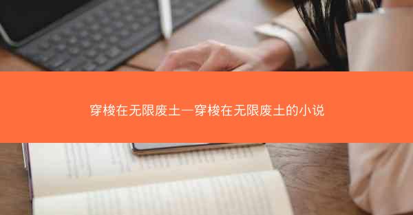 穿梭在无限废土—穿梭在无限废土的小说