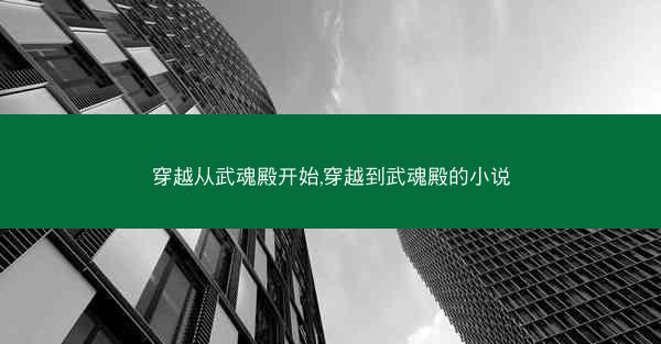 穿越从武魂殿开始,穿越到武魂殿的小说 穿越从武魂殿开始,穿越到武魂殿的小说