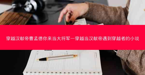 穿越汉献帝曹孟德你来当大将军—穿越当汉献帝遇到穿越者的小说