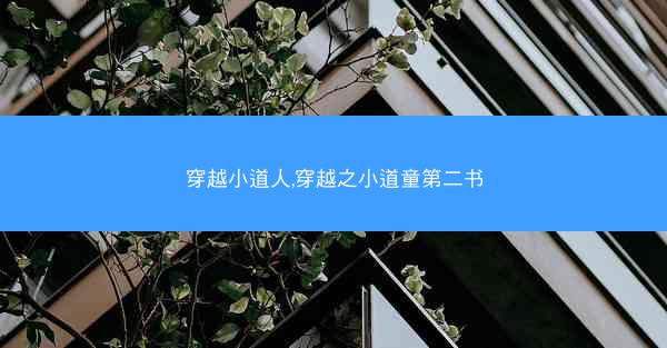 穿越小道人,穿越之小道童第二书