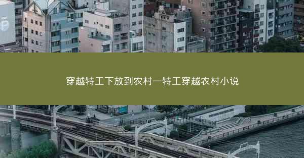 穿越特工下放到农村—特工穿越农村小说