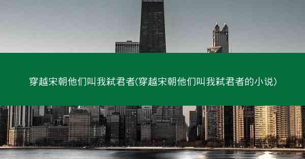 穿越宋朝他们叫我弑君者(穿越宋朝他们叫我弑君者的小说)