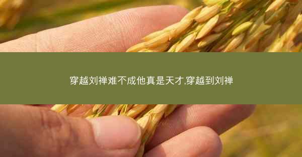 穿越刘禅难不成他真是天才,穿越到刘禅