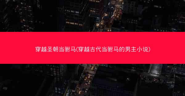 穿越圣朝当驸马(穿越古代当驸马的男主小说)