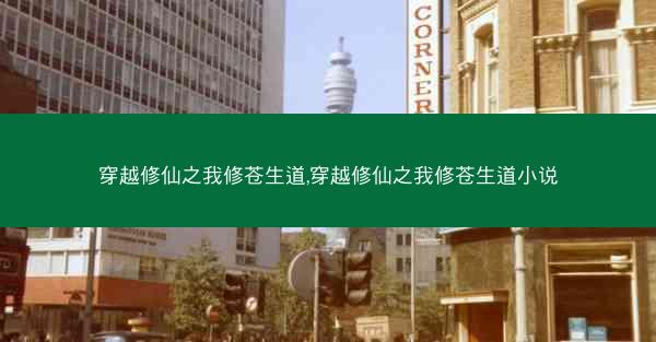 穿越修仙之我修苍生道,穿越修仙之我修苍生道小说