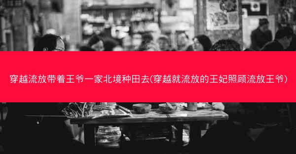 穿越流放带着王爷一家北境种田去(穿越就流放的王妃照顾流放王爷)