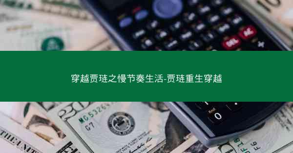 穿越贾琏之慢节奏生活-贾琏重生穿越