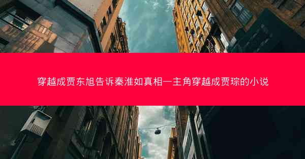 穿越成贾东旭告诉秦淮如真相—主角穿越成贾琮的小说