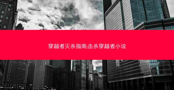 穿越者灭杀指南;击杀穿越者小说