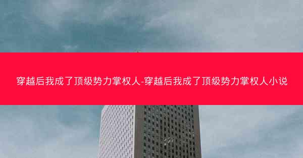 穿越后我成了顶级势力掌权人-穿越后我成了顶级势力掌权人小说