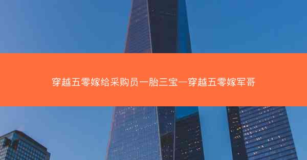 穿越五零嫁给采购员一胎三宝—穿越五零嫁军哥